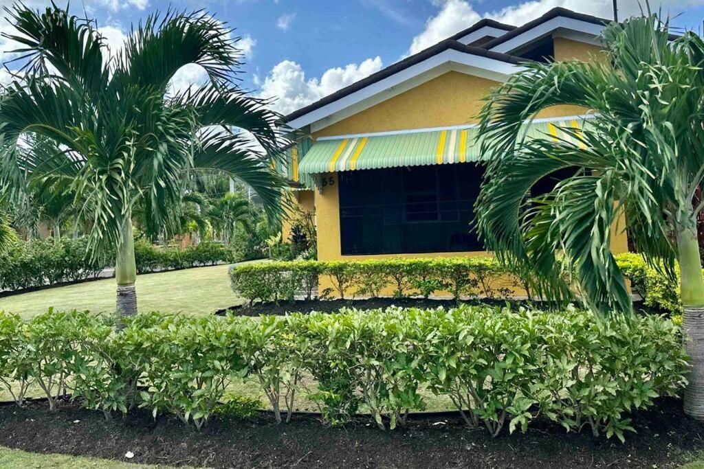 Dell'S Exotic Haven, 2 Bedrooms, 2 Baths, Pool, Gym Mammee Bay Exterior photo